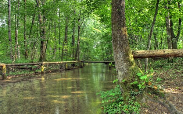 file_80356268
