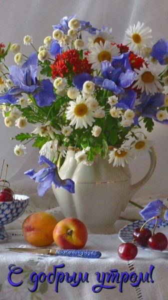 file_93923481
