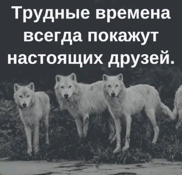 IMG 20260221 131621