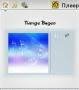 TGPlayer v1.0
