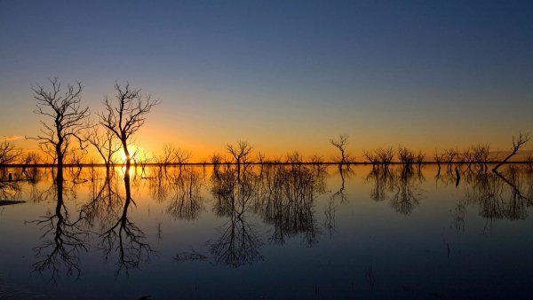 file_83178588