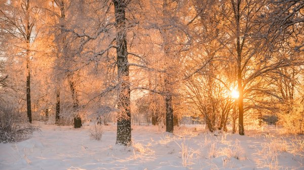 SwedenSolstice ROW5093958502 UHD