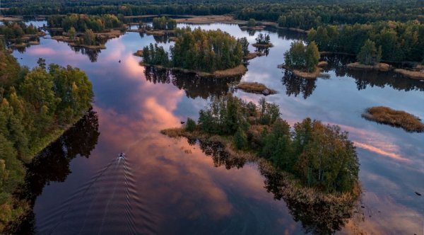 file_94568309
