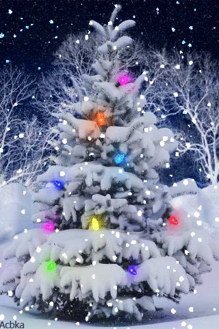 file_79838589
