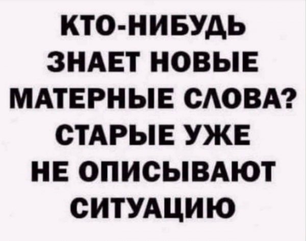 FB IMG 1789035330380