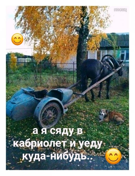 KWXv egH