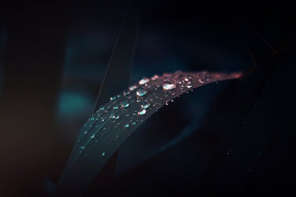 Image from wp-s.ru (2)