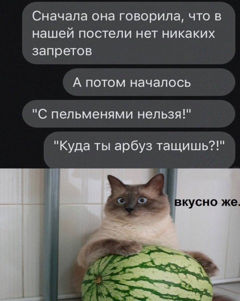 file_102263451