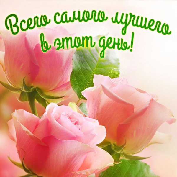 Всего самого лучшего в этот день