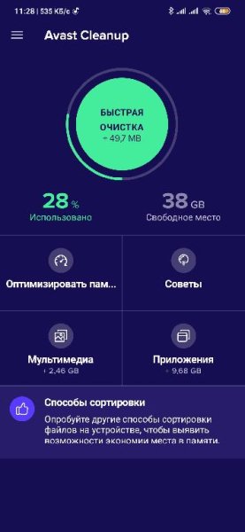 Avast Cleanup Pro