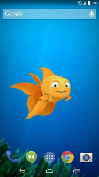Gold Fish Live Wallpaper - v.1.0