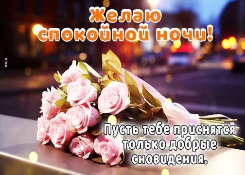 file_95054808