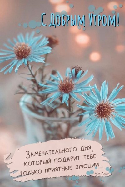 file_90021648