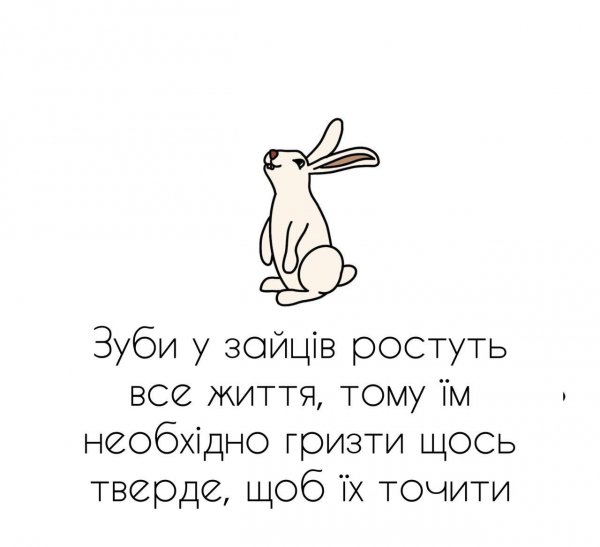 Зуби у