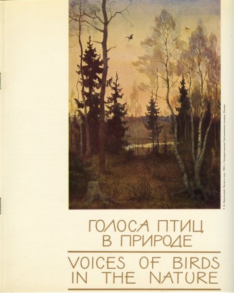 Голоса птиц в природе - 2-2