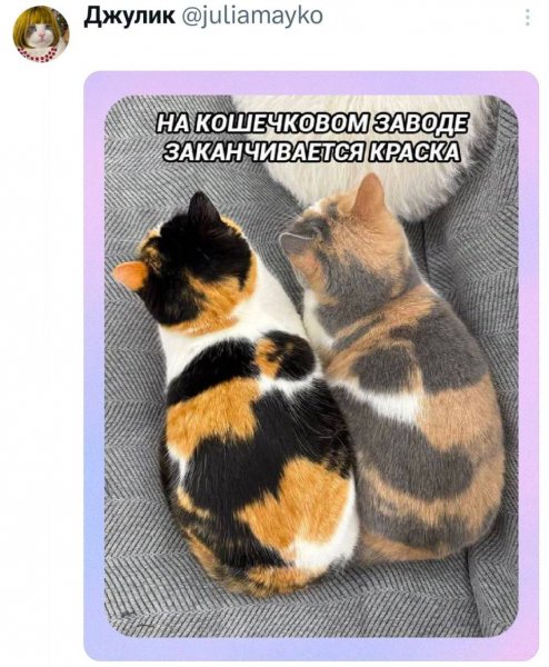 IMG 20260910 200018 056