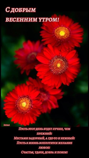 file_93179802