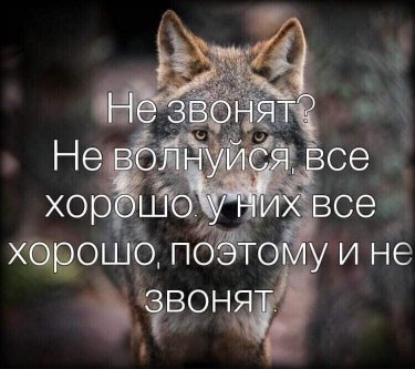 Не звонят?