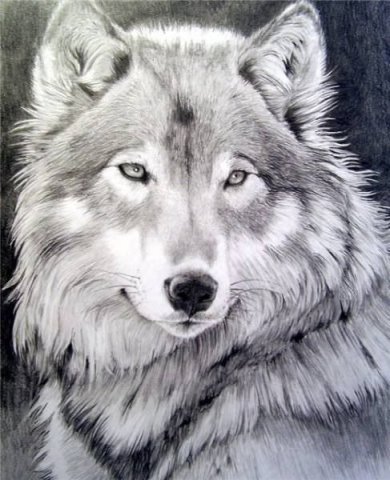 image (8)