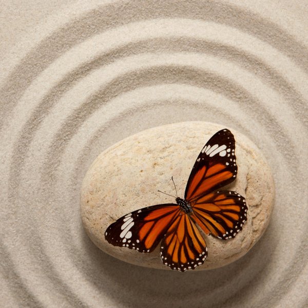 zen 001