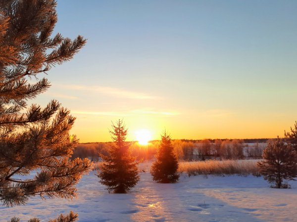 file_93062437