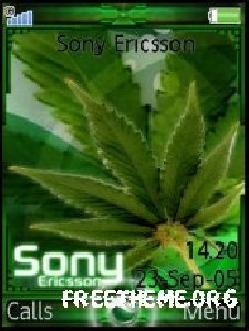 marijuana ericsson