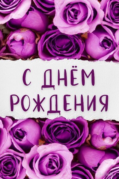 file_95216566