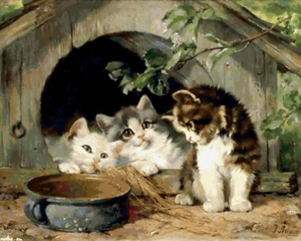 схема Котята