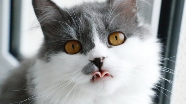 AAAOxI0 JMcbPJLS7IiU1S9iqp JGIKTGz35XMxuBITmyWTl4lkdvdWpiC7yg
