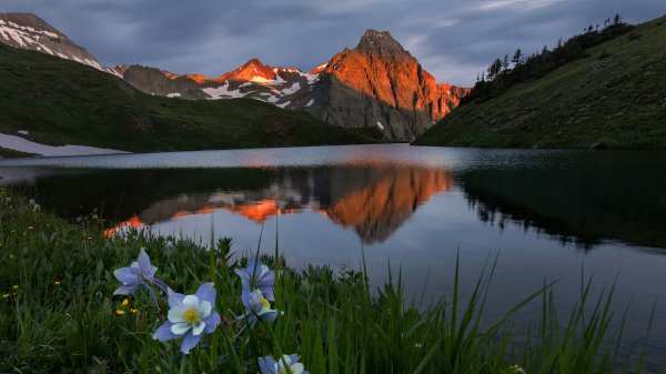 file_96771322