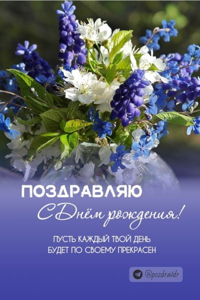file_93186276