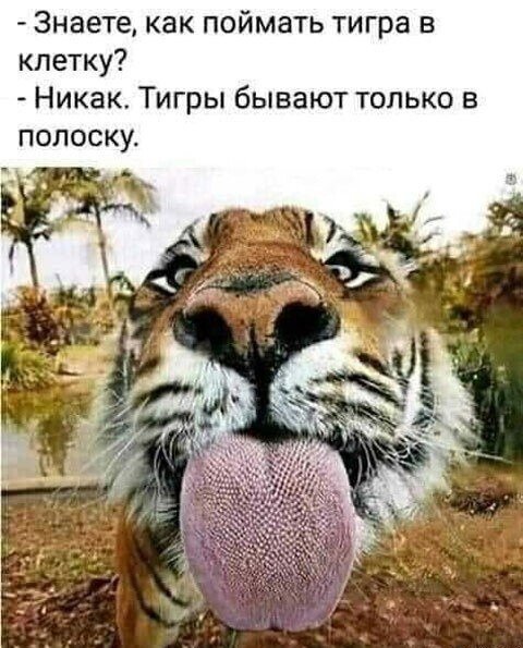 file_102560349