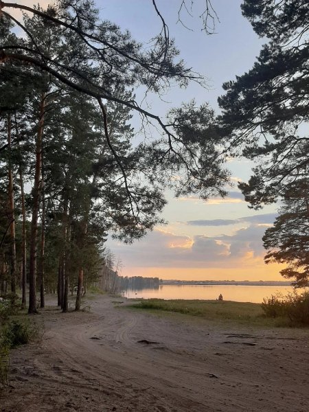 file_93464702