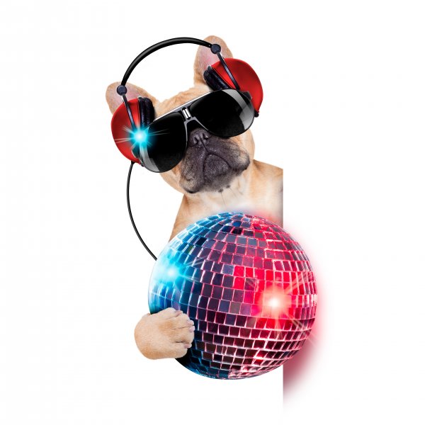 Dogs-White-background-Bulldog-Headphones-Glasses