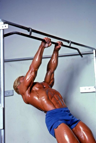 Tom-Platz-IFBB-Pro-Bodybuilder-An-Original-35 20