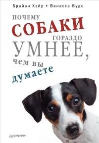 Почему собаки гораздо умнее чем вы думае