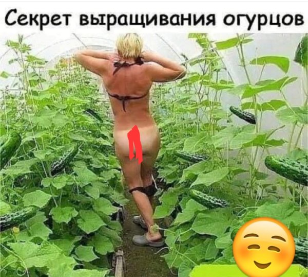 file_103305639