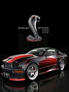 Ford shelby gt 500 car mustang