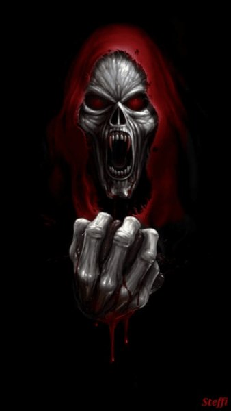 skull RgkIkwMs
