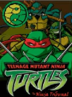 Teenage Mutant Ninja Turtles-The Ninja T