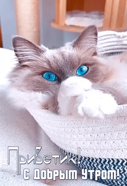 IMG 20240212 003906