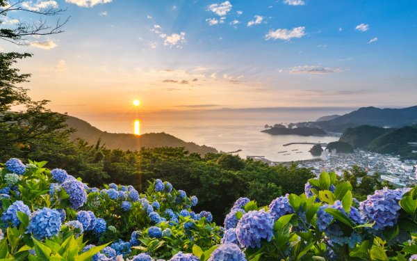 Magnificent Japanese Flora