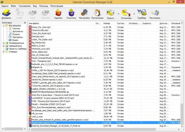 Internet Download Manager v6.28 Build 17 Final