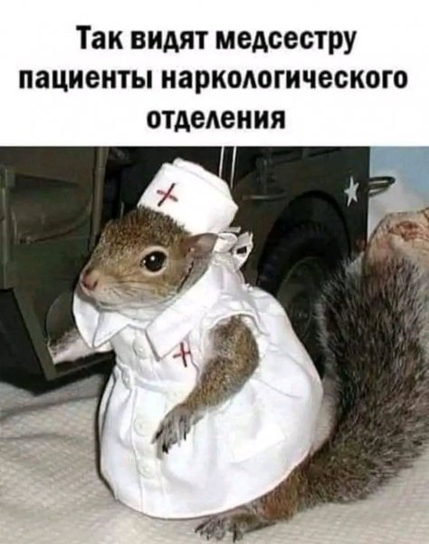 file_103107743