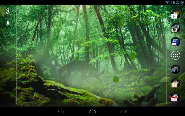 Live Wallpaper Forest 3D