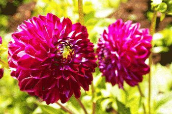file_85269158