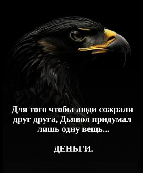 IMG 20260219 135402