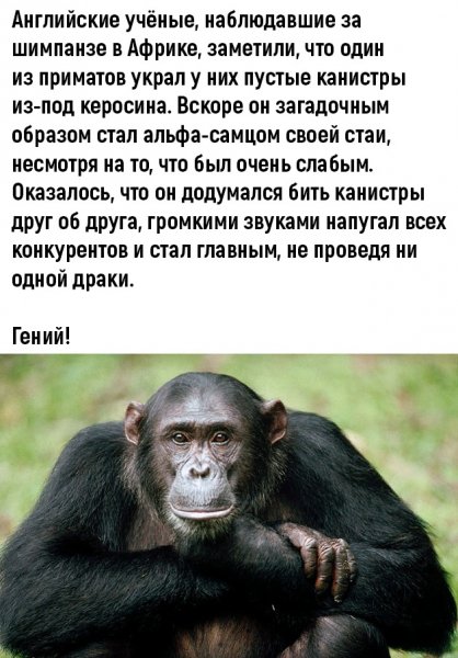 original