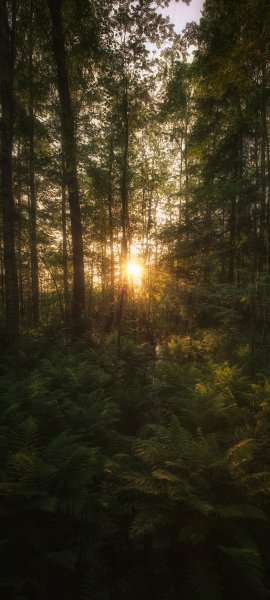 file_100411962