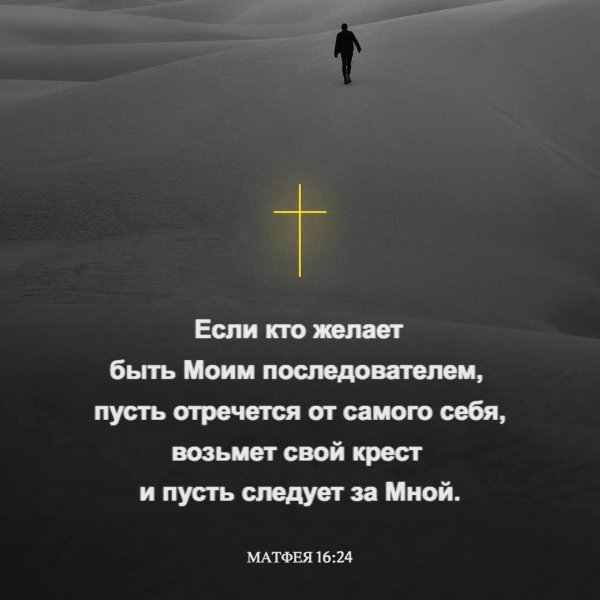 file_101726412
